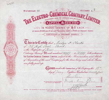 Electro-Chemical Co., Ltd.