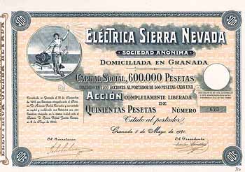 Electrica Sierra Nevada S.A.
