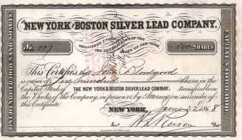 New York and Boston Silver Lead Co.