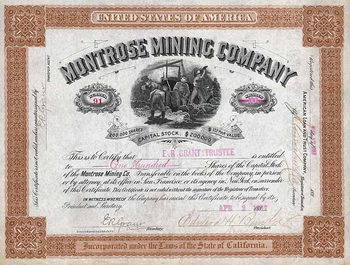 Montrose Mining Co.