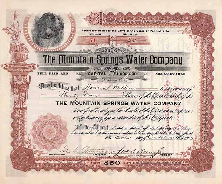 Mountain Springs Water Co.