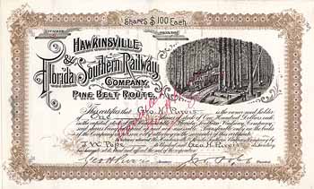 Hawkinsville & Florida Southern Railway