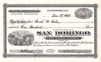 San Domingo Gold Mining Co.