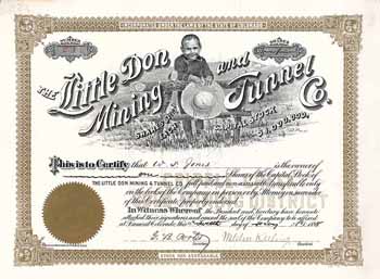 Little Don Mining & Tunnel Co.