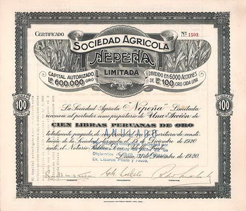Soc. Agricola Nepeña Ltd.