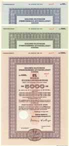 Schleswig-Holsteinische Stromversorgungs-AG (3 St�cke)