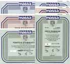 massa AG (6 Stcke)