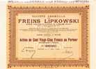 Soc. Gen. des Freins Lipkowski S.A.