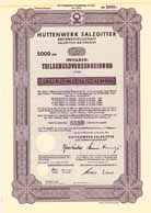 H�ttenwerk Salzgitter AG