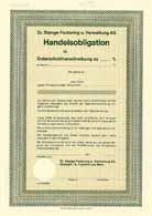 Dr. Stange Factoring und Verwaltung AG