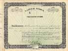 Lehigh & New-York Railroad