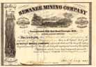 Sewanee Mining Co.