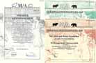 M/A Wertpapierhandel AG (3 Stcke)
