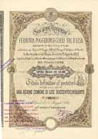 S.A. per la Ferrovia Poggibonsi-Colle Val d�Elsa