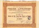 Soc. Gen. des Freins Lipkowski S.A.