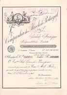 Cia. dos Alcools de Portugal S.A.