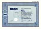 THOSTI Bau-AG